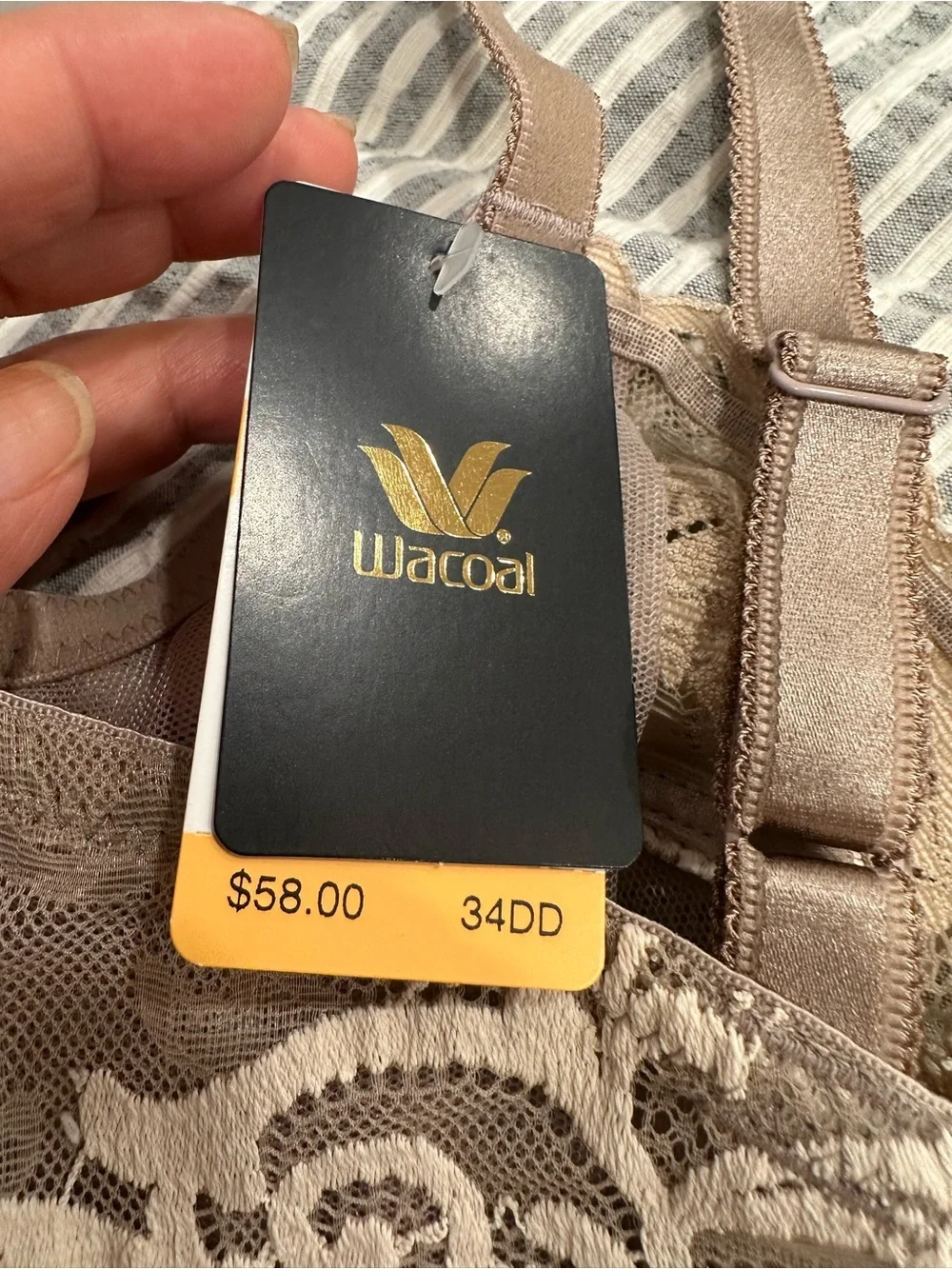 Wacoal sheer lace